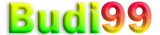 BUDI99